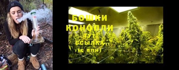 спиды Кинешма
