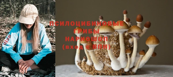 кристаллы Козельск