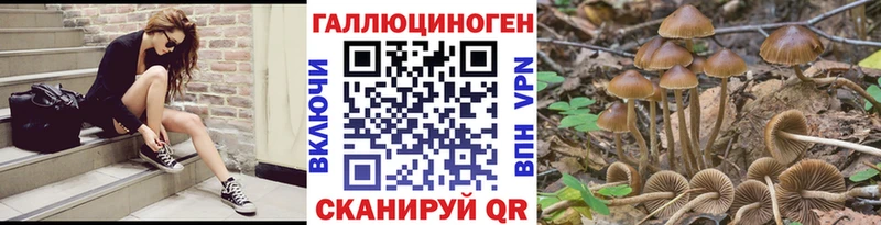 Галлюциногенные грибы ЛСД Цимлянск